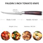 PAUDIN Utility Knife 5 Inch Kitchen Knife, Ultra Sharp High Carbon Stainless Steel Small Chef Knife with Sheath, Kitchen Utility Knife with Ergonomic Pakkawood Handle