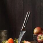 ARTIDGE 3.5″ Paring Knife Damascus Steel Peel Chef Knife – 67-Layer Forged Fruit/Vegetable Knife with Natural Solid Wood Handle, 15° Double-Edged Blade, Ultra-Sharp & Corrosion Resistant