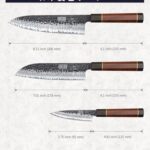 HOSHANHO 3 Pieces Knife Set, Professional High Carbon Steel Kitchen Knives Set, Ultra Sharp Japanese Chef Knife Set with Ergonomic Handle & Gift Box