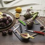 Victorinox Swiss Classic Foldable Paring Knife, Straight Edge Red 4.3 in